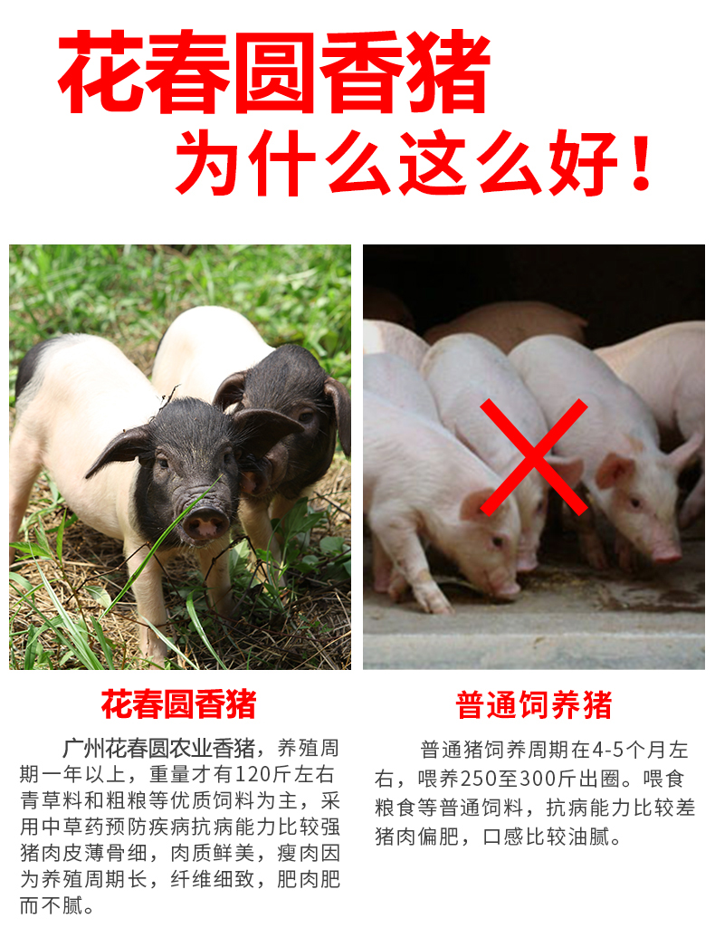 微信图片_20191021121322.jpg