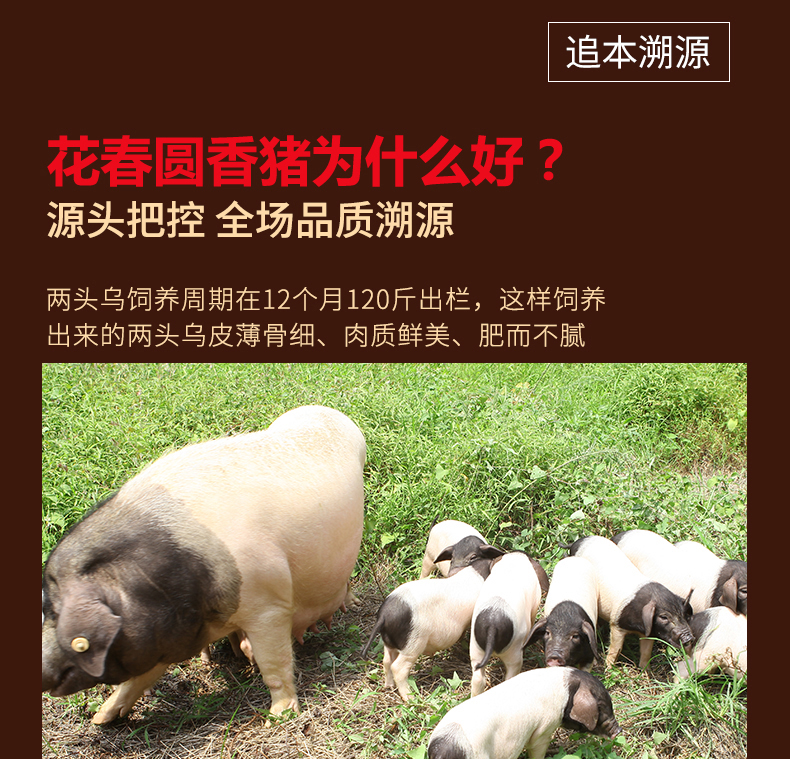 微信图片_201910211213161.jpg