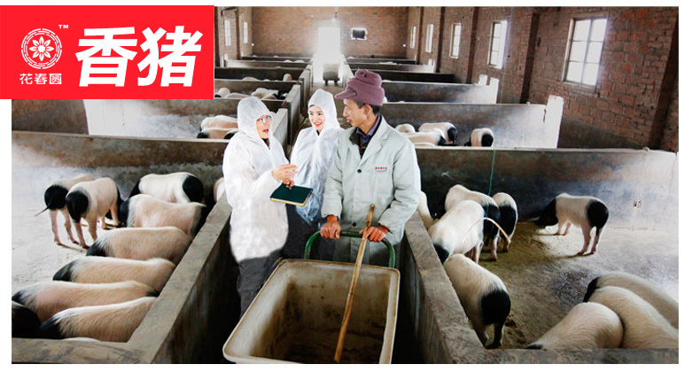 微信图片_20191021121213.jpg