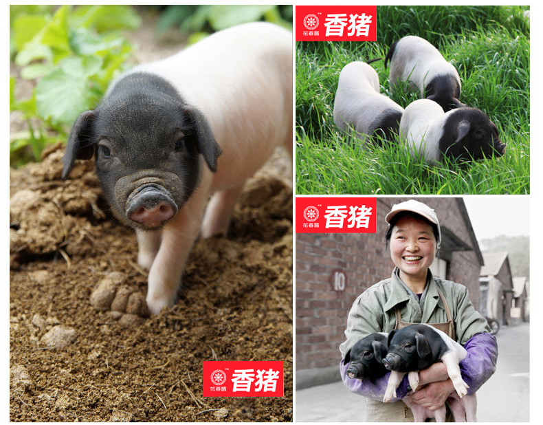 微信图片_20191021121142.jpg