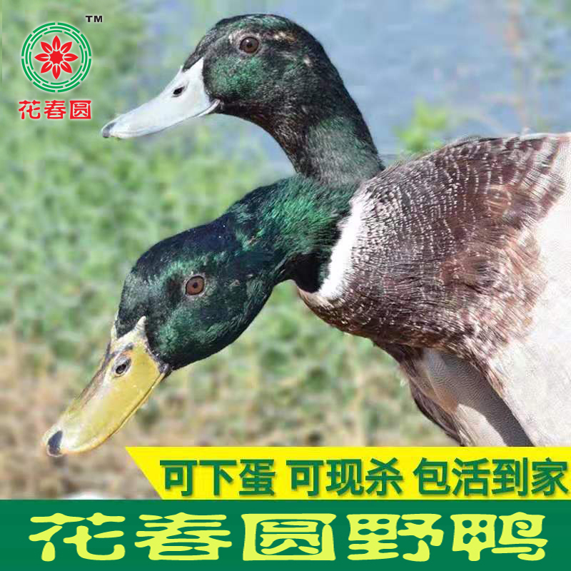 微信图片_2019102211442211副本.jpg