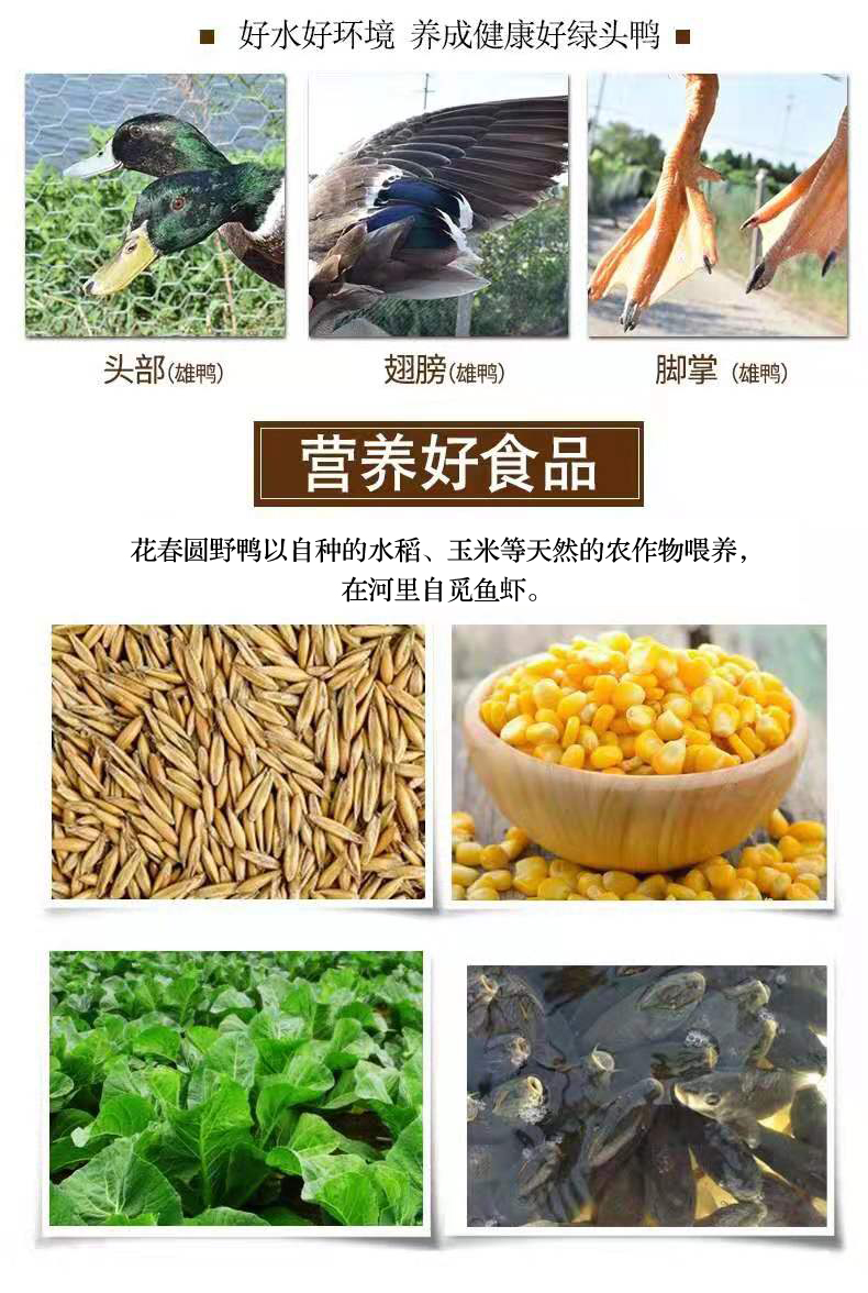 微信图片_20191022114353.jpg