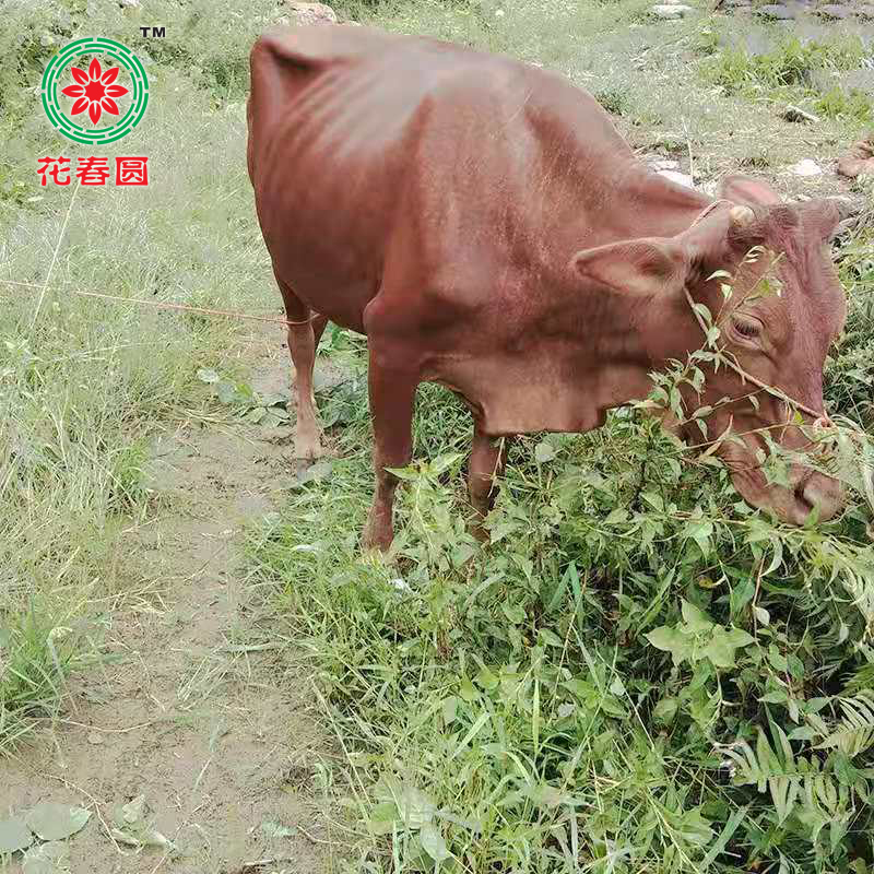 微信图片_20191021125814副本.jpg