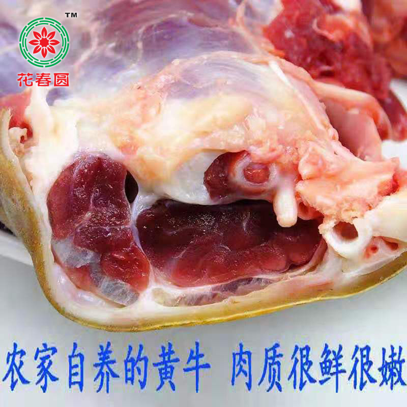 微信图片_20191021125800.jpg
