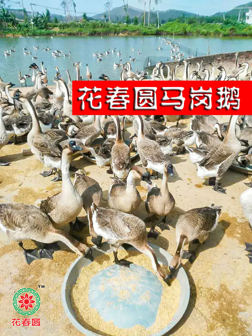 1微信图片_20191021130454.jpg