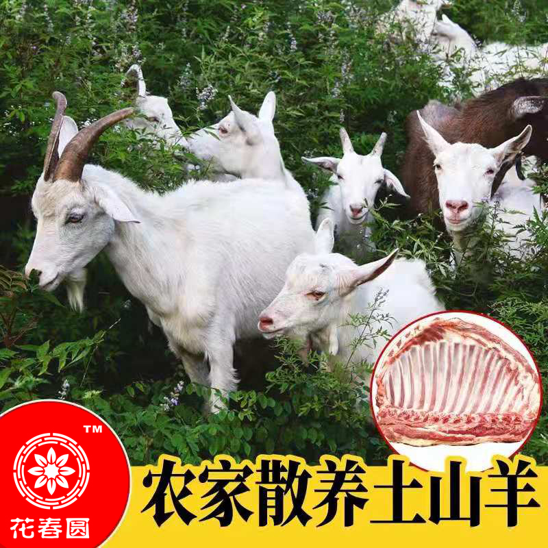 微信图片_20191022114111.jpg