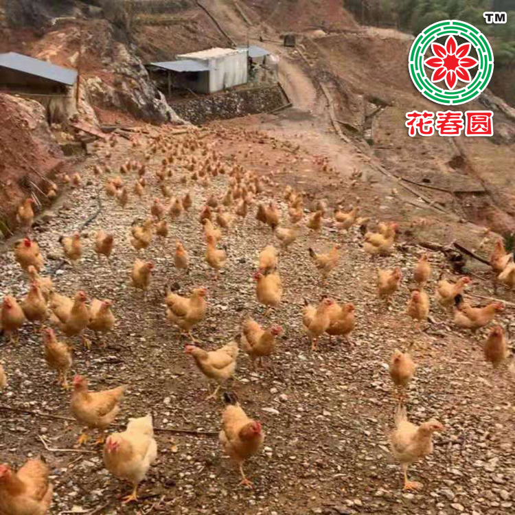 微信图片_20191022113654.jpg
