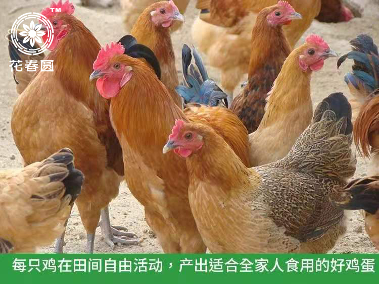 微信图片_20191022113520.jpg