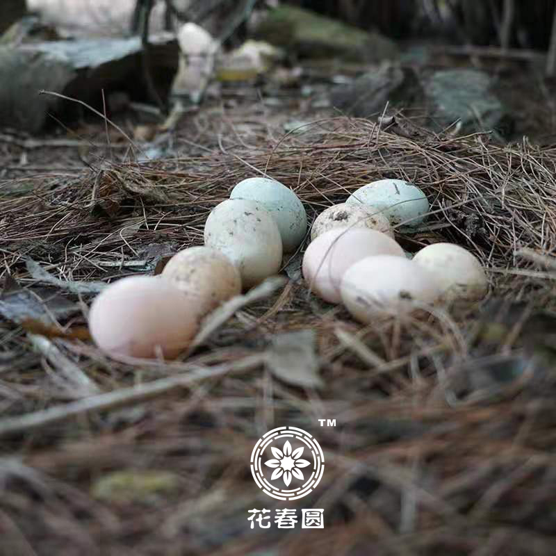 微信图片_20191022113851.jpg