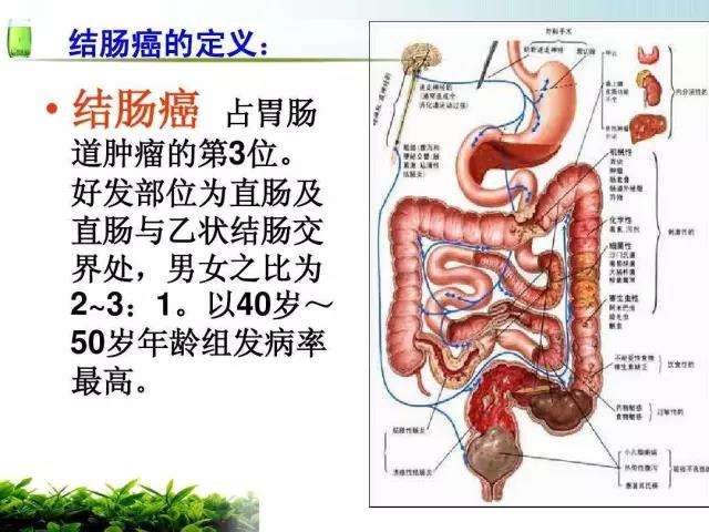 timg (2).jpg