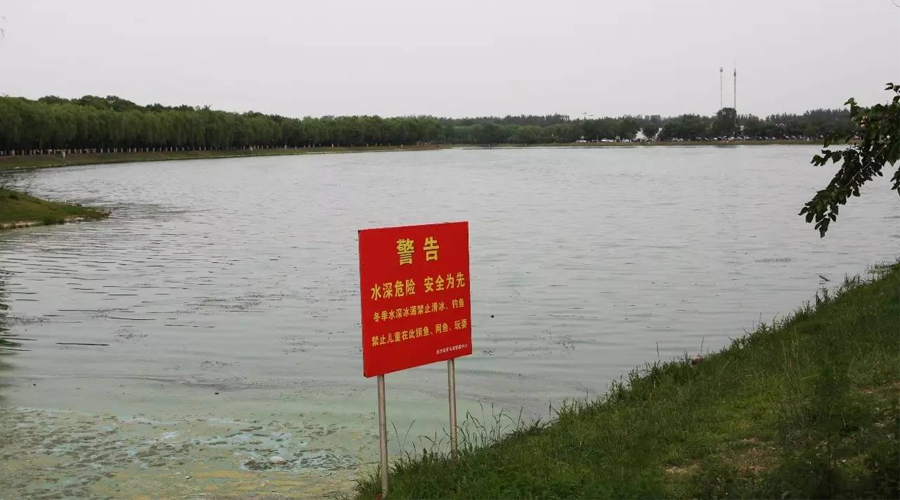 在自己的城市中，漂泊到“罗马湖”