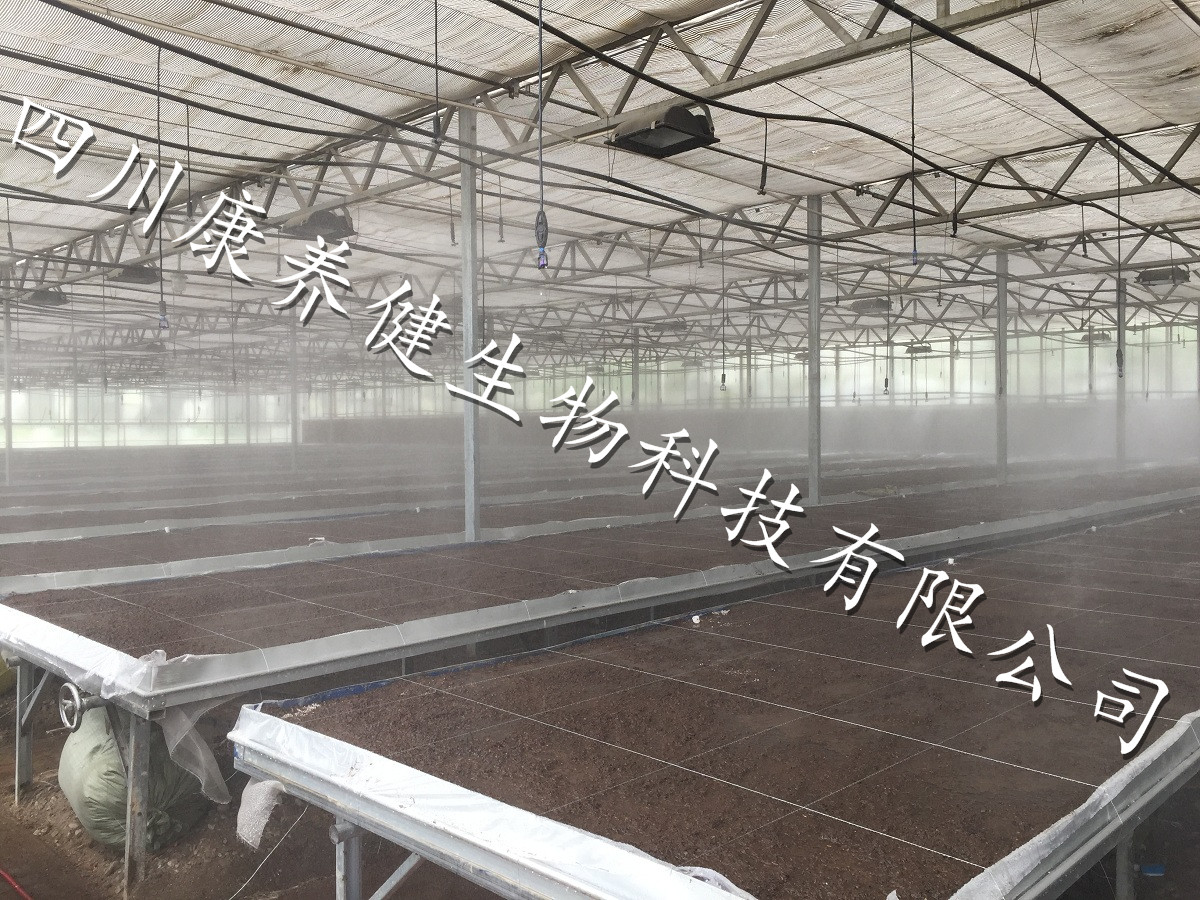 大棚