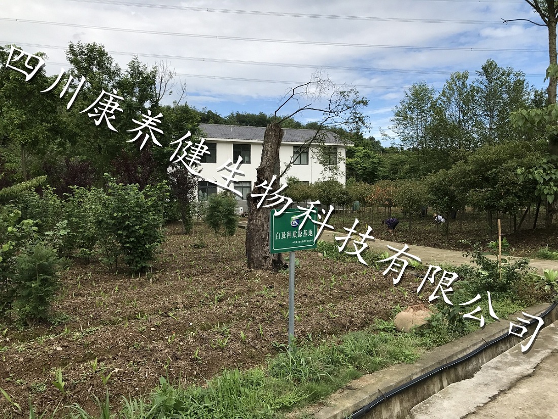 示范基地