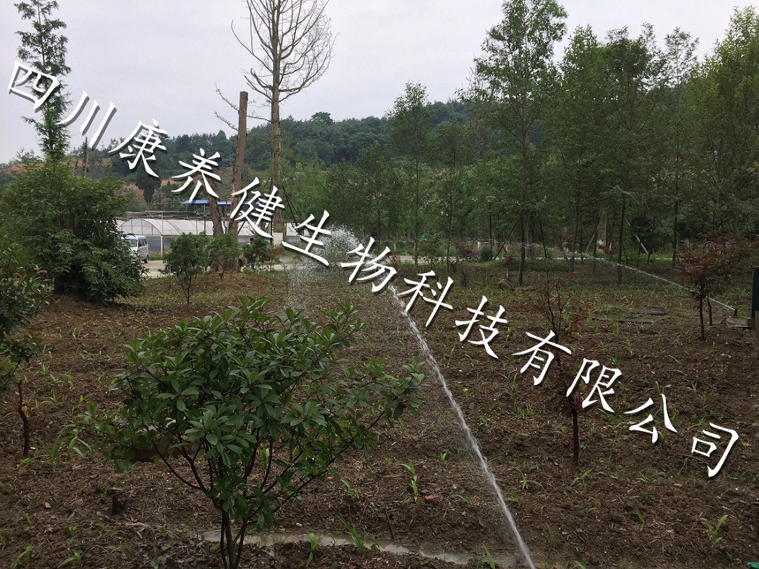 示范基地