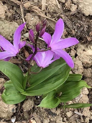 20180321003155_47731.jpg
