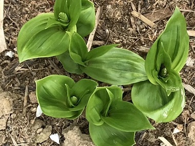 20180321003156_68070.jpg
