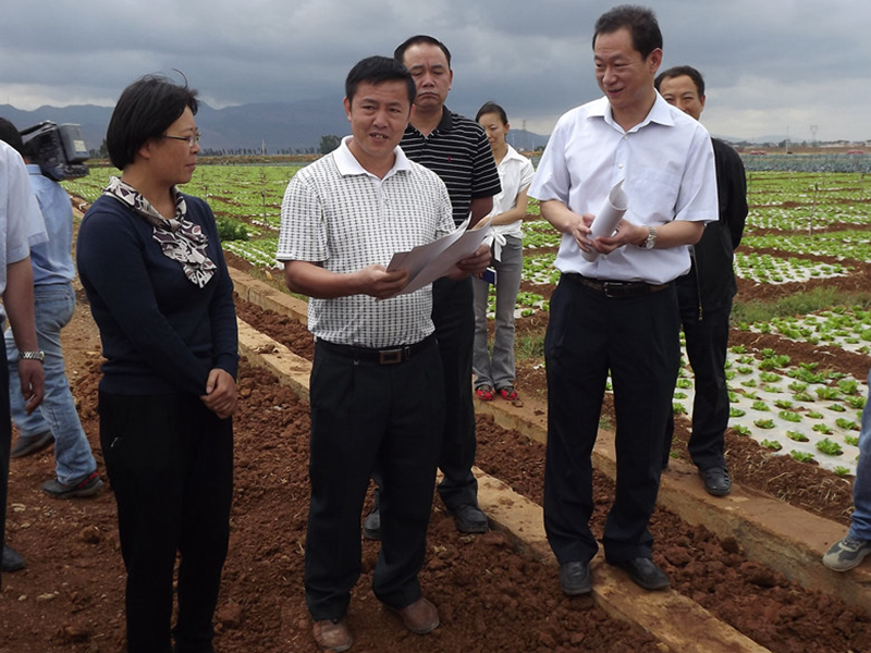 县委书记视察曙光基地