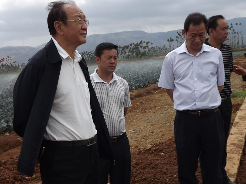 副省长视察曙光基地