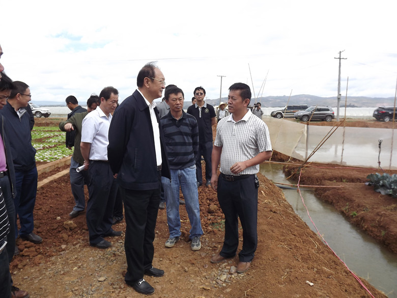 副省长视察曙光基地