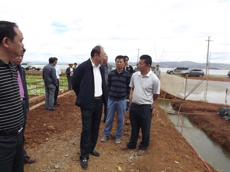 副省长视察曙光基地