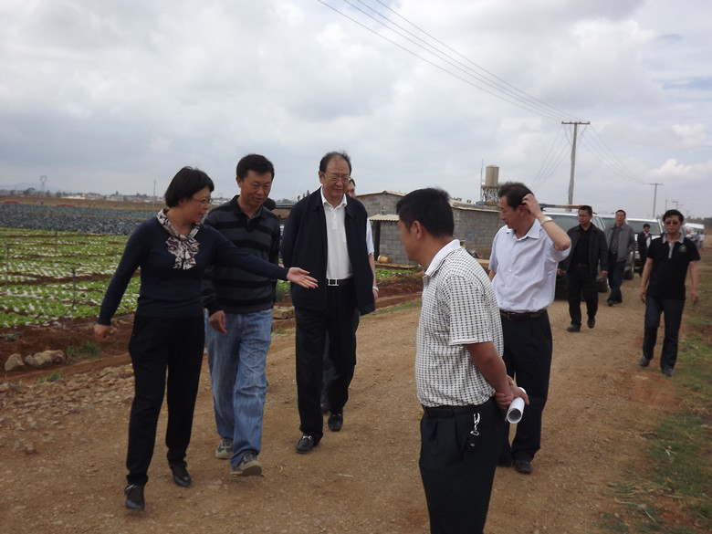 副省长视察曙光基地