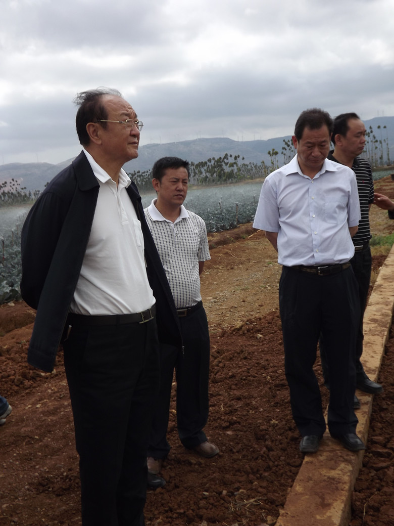 副省长视察曙光基地