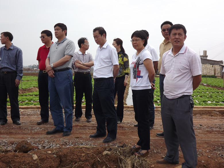 曲靖市长视察曙光基地