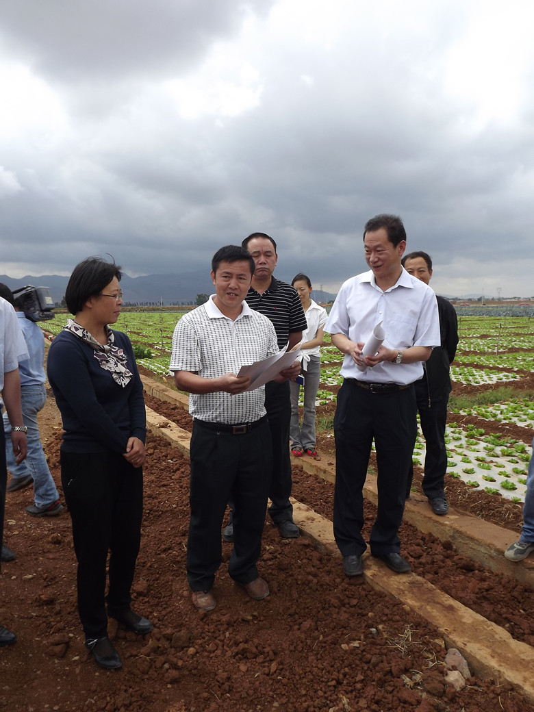 陆良县委书记视察曙光基地