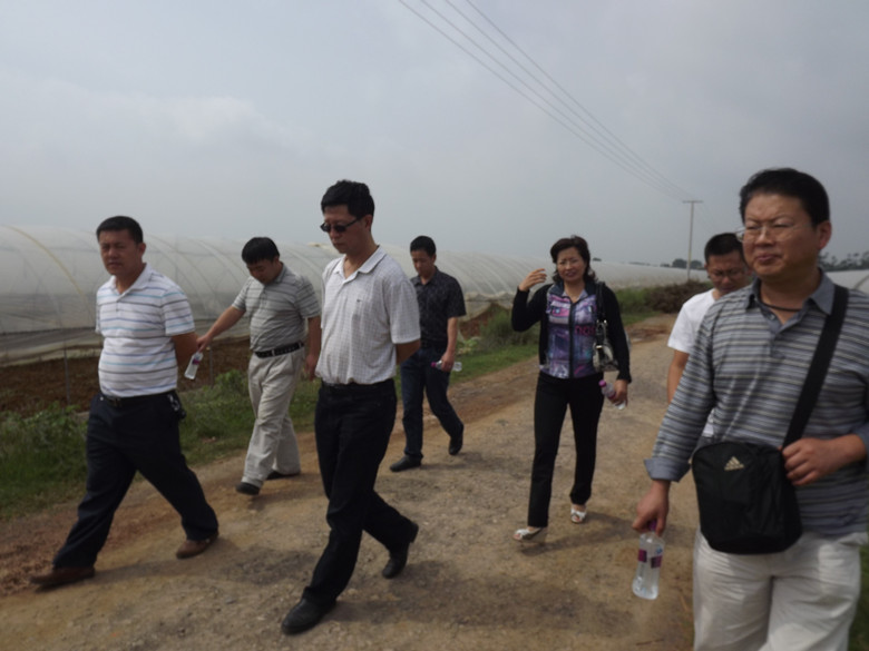 市农业局领导视察曙光基地