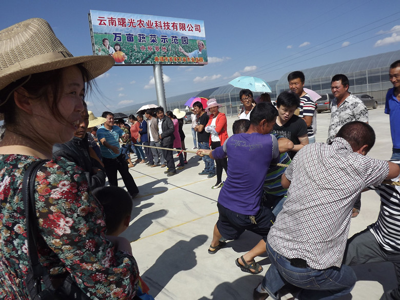 曙光公司合作社成员拔河赛