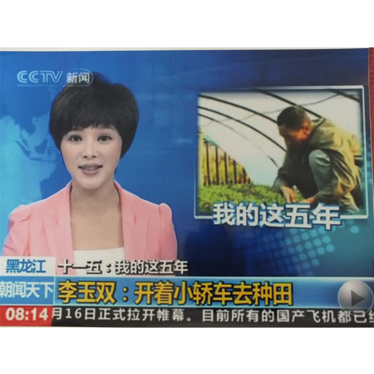 中央电视台采访