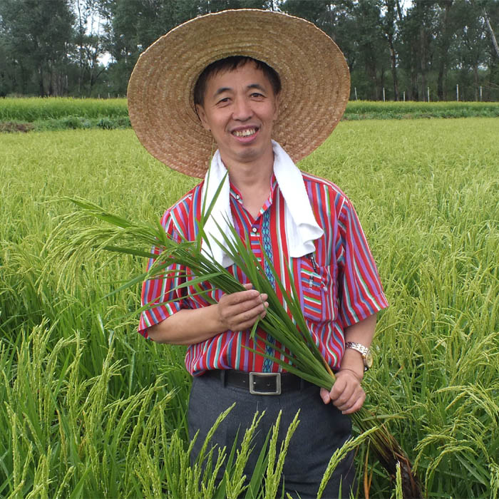 大米哥陈滨生