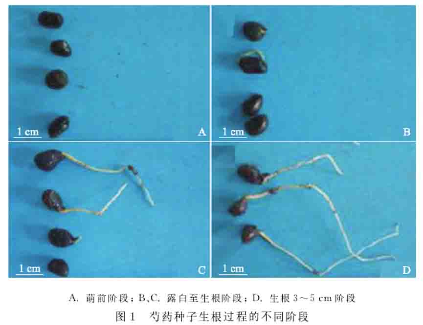 20200203190817_19055.jpg 图片1 拷贝.jpg