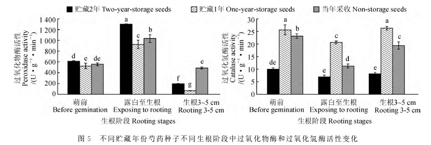 20200203191239_95823.png 图片5.png