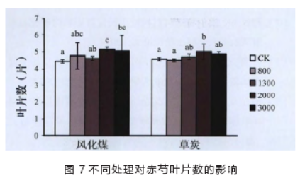20200203201819_68913.png 图片七.png