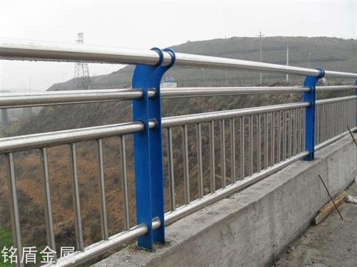 2345_image_file_copy_17.jpg