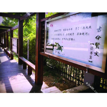 XCL-016