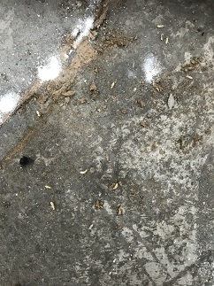 20181025143202_38372.jpg