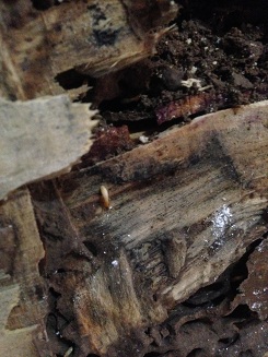 20181201163602_38449.jpg
