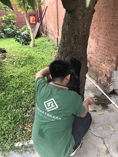 20190504115727_81631.jpg IMG_3788.JPG