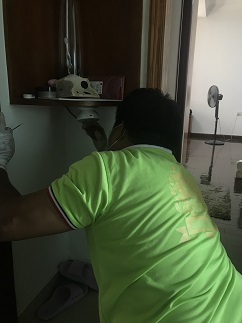 20191206104422_68404.jpg