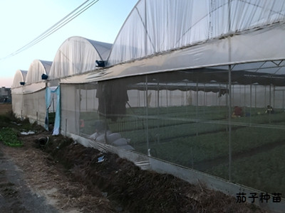 20180212203312_88227.jpg 45_副本.jpg