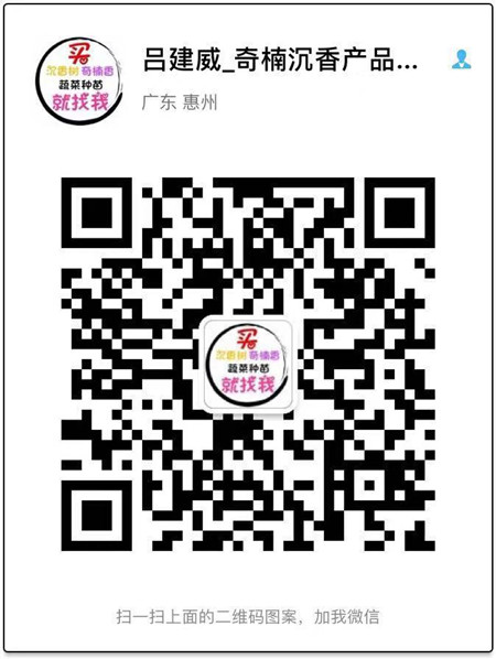 蔬菜种苗批发联系电话