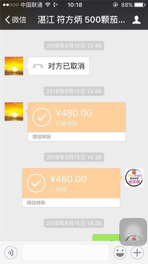 湛江符先生购买茄子苗