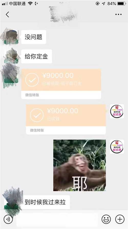 客户订购蔬菜种苗转账9000