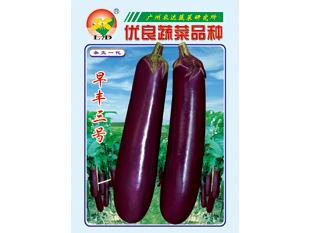 茄子种苗种子 茄子种苗种子