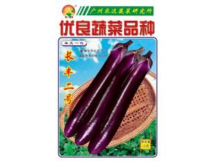 嫁接茄子苗 嫁接茄子苗