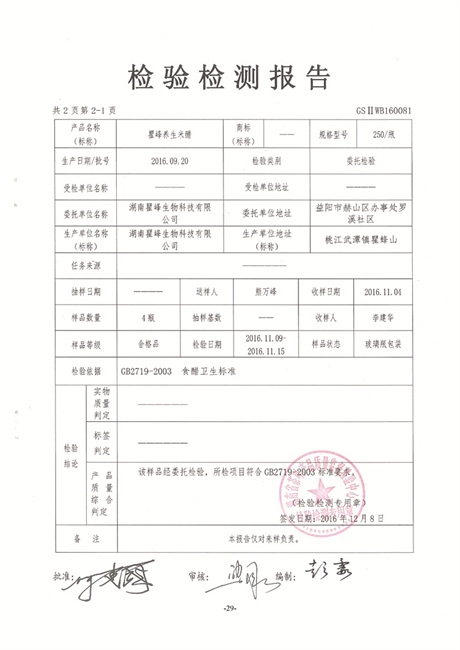 检测报告