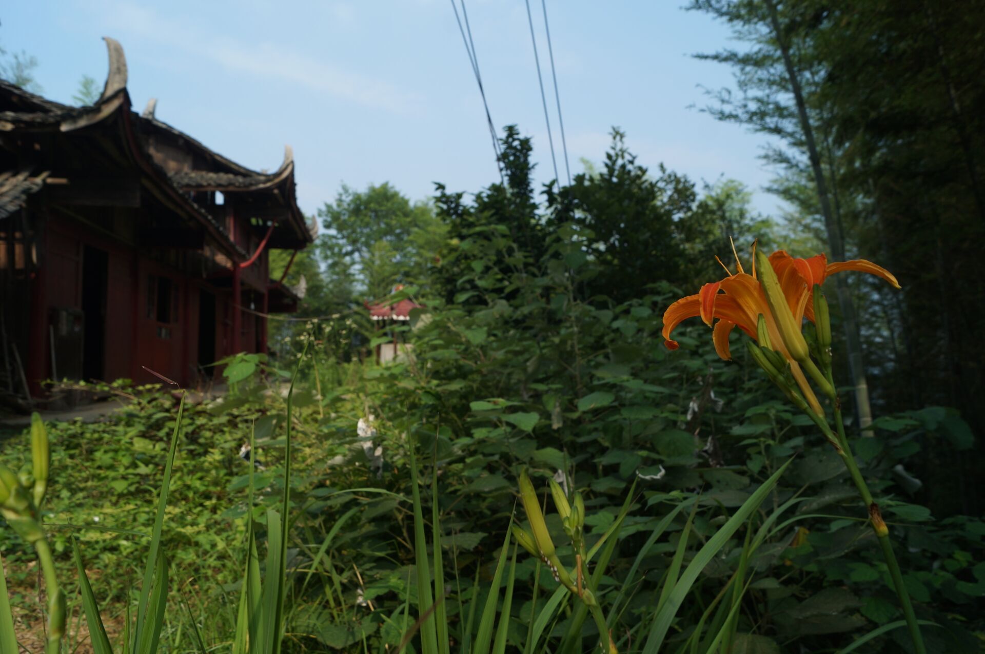 湖南这个小山村千年将醋当茶喝 利用气候催化发酵全国独一份
