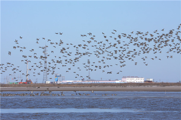 飞越刁口河（傅建智摄）